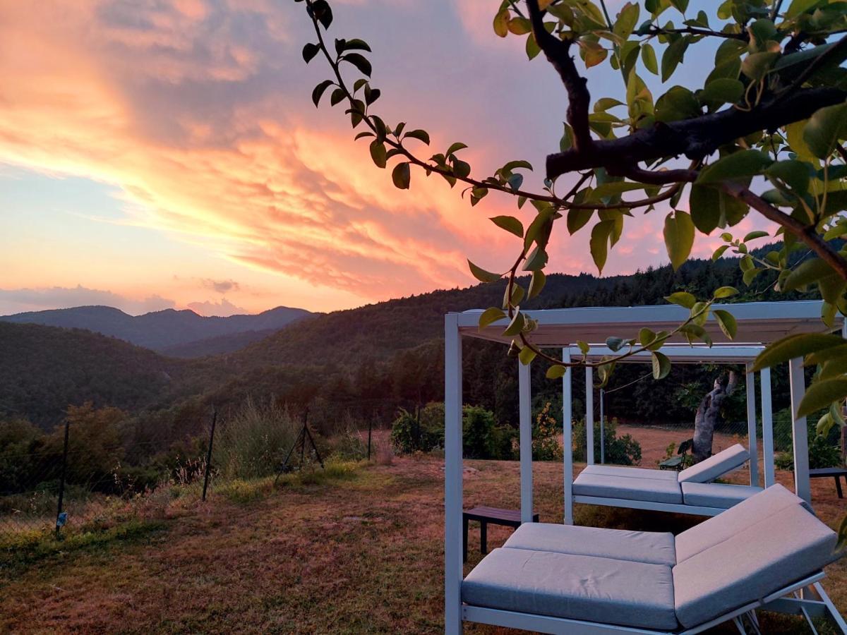 Villa Giuliana B&B Scarperia Eksteriør billede